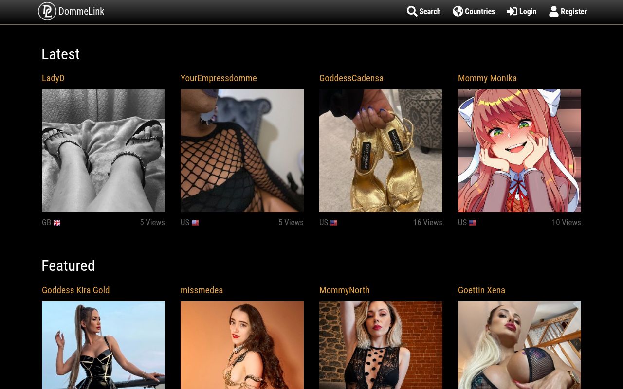 Homepage screenshot of dommelink.com